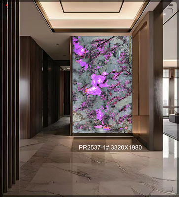 奢石雪山兰_PR2537-1#